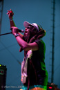 Steel Pulse