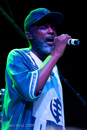 Steel Pulse
