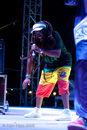 Steel Pulse