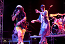 Steel Pulse