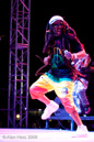 Steel Pulse
