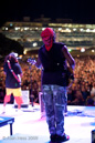 Steel Pulse