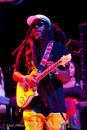 Steel Pulse