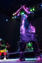 Steel Pulse